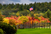 Autumn Glory