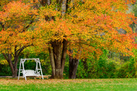 Swing Into Fall