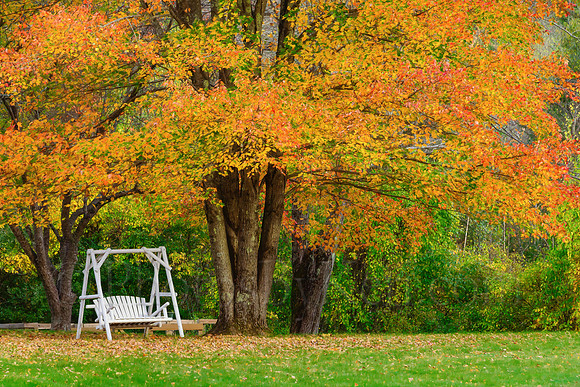 Swing Into Fall