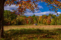 Autumn Surrounds