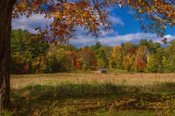 Autumn Surrounds