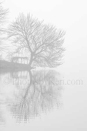 Foggy Reflections