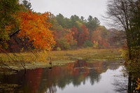 Fall All Around