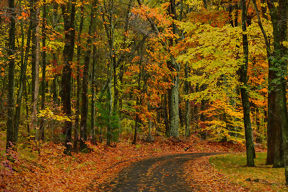 Down The Autumn Road