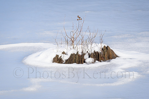 Winter Island