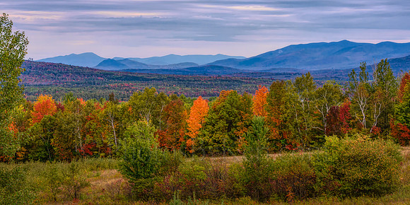 Scenic View in Autumn