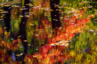 Autumnal Monet