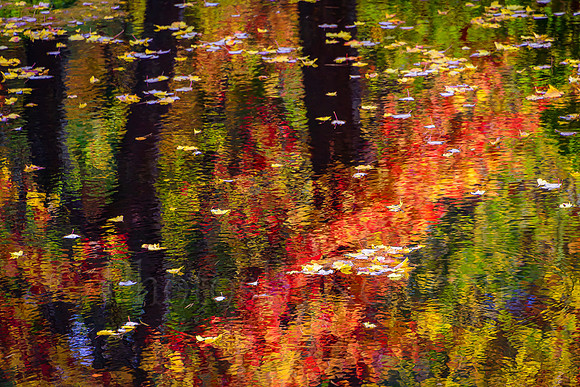 Autumnal Monet
