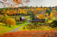 Sleepy Hollow Autumn