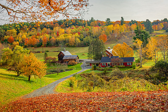 Sleepy Hollow Autumn