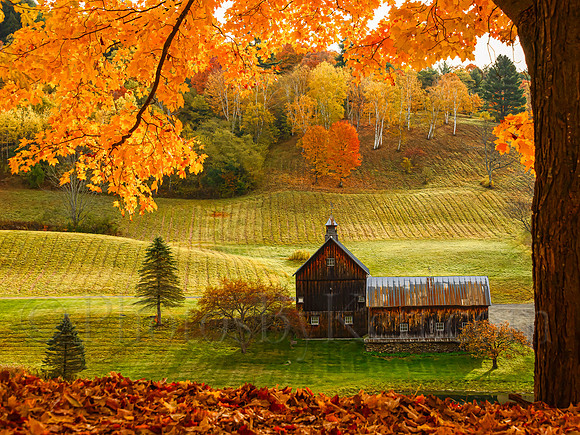 Autumn At Sleepy Hollow