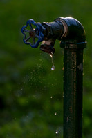 Drip Drip
