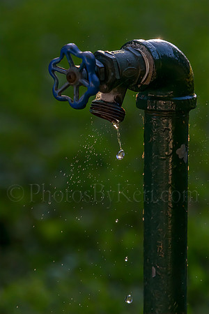 Drip Drip