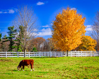 Pastoral Autumn Scene
