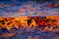 Waves Of Leaves