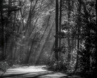 Monochrome Matters