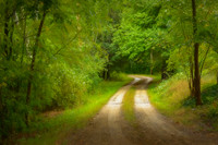 The Curved Path