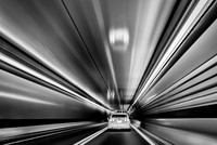 Warp Speed