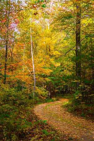 Road Into Autumn