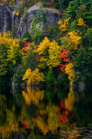 Stonehouse Reflections