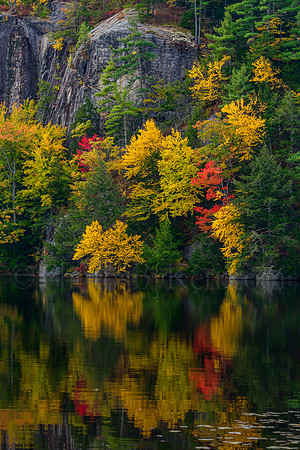 Stonehouse Reflections