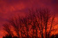 Colorful Sky