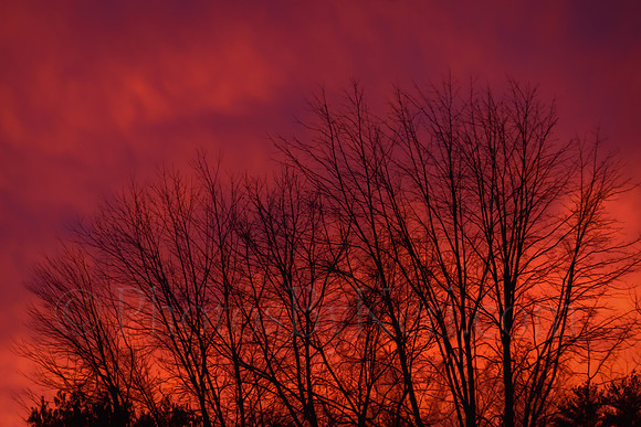 Colorful Sky