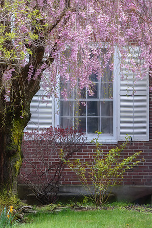 Window Dressing