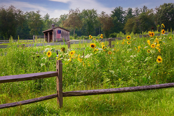 Summer At The Stables