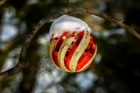 Snow Ball