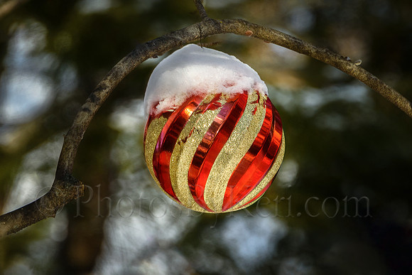 Snow Ball