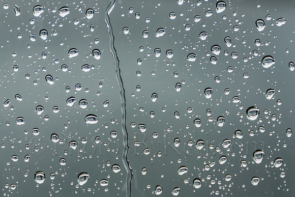Just A Drop Of Spring