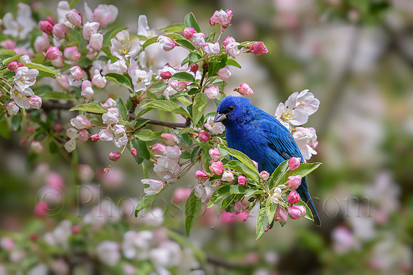 Out Of The Blue