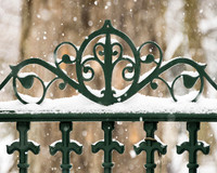 Winter Fence