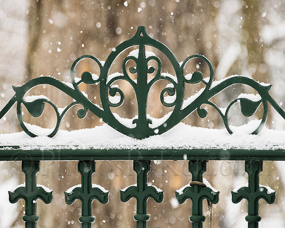 Winter Fence