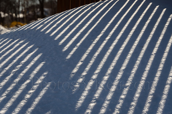 In The Lines Of The Shadows
